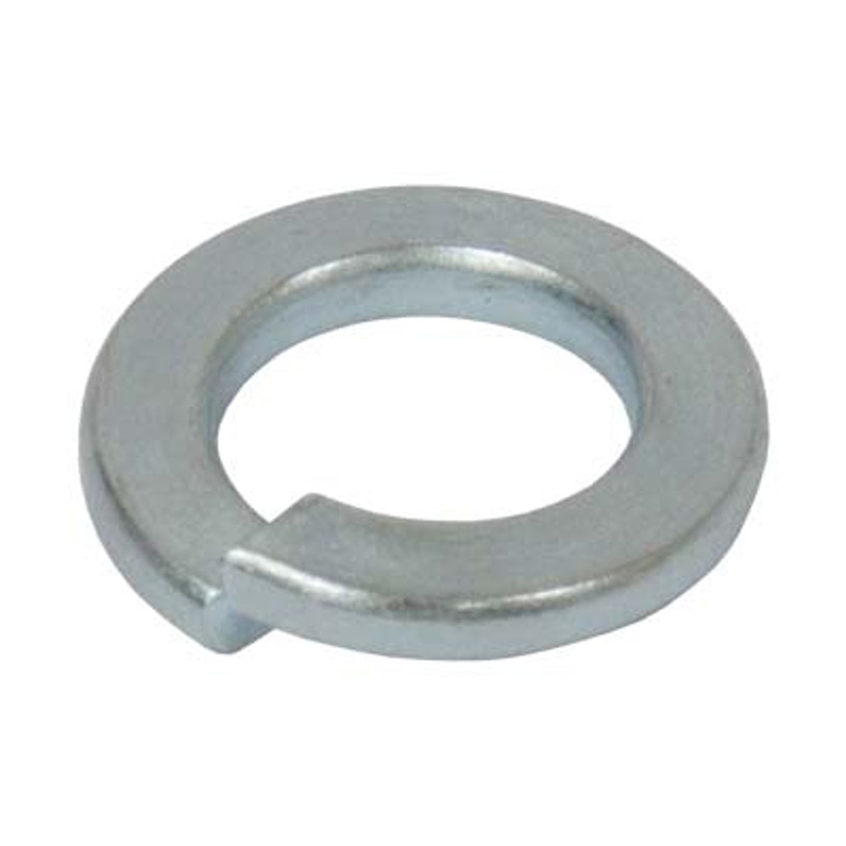 Pirate Brand - Valve, Combination II, Spring Washer (4 REQUIRED)