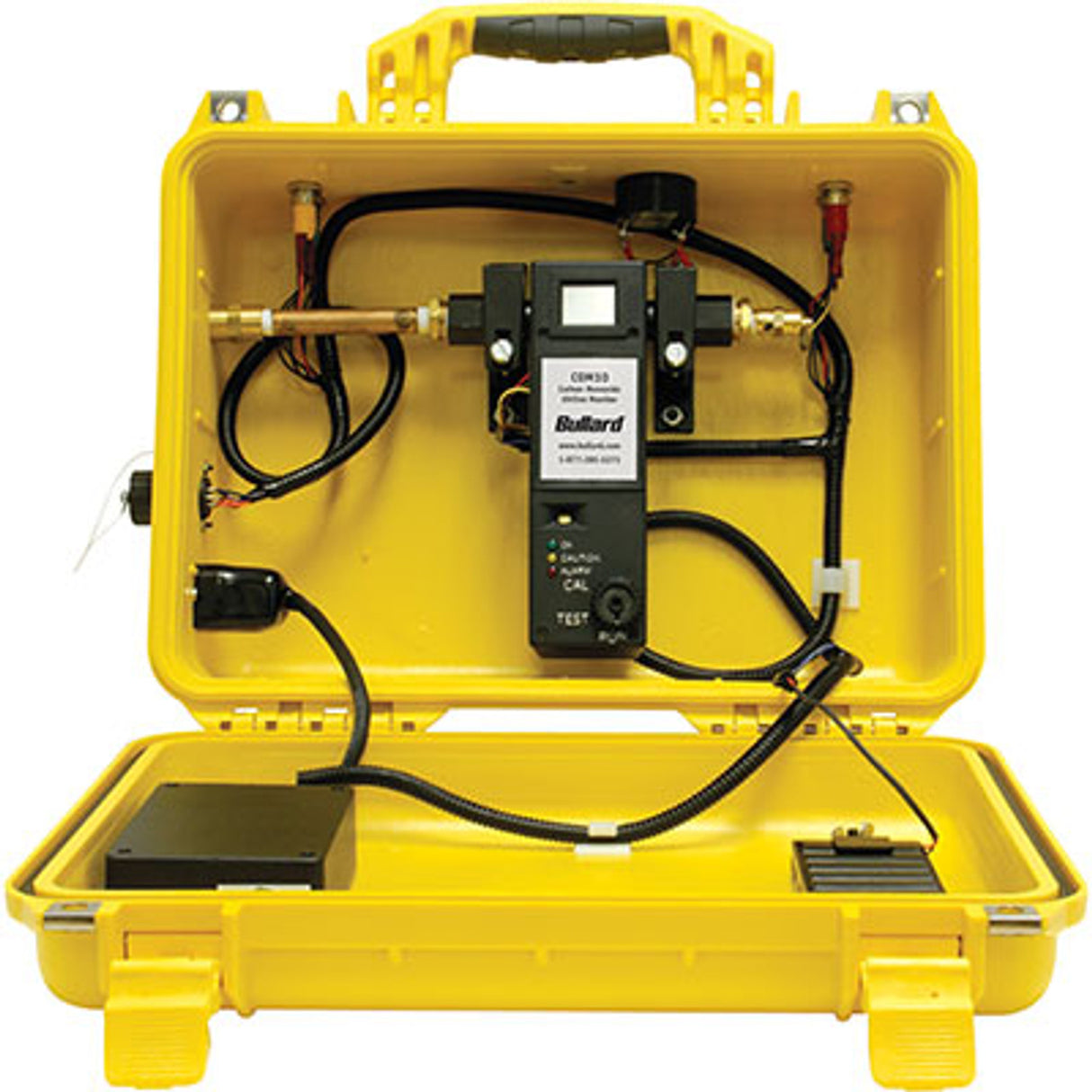 Pirate Brand - BULLARD® CAB CO Monitor