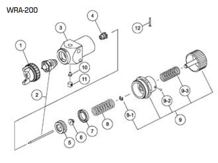 Anest Iwata 93629570 - Piston for LRA/WRA
