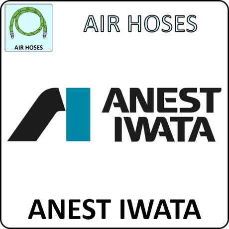 Anest Iwata Air Hoses