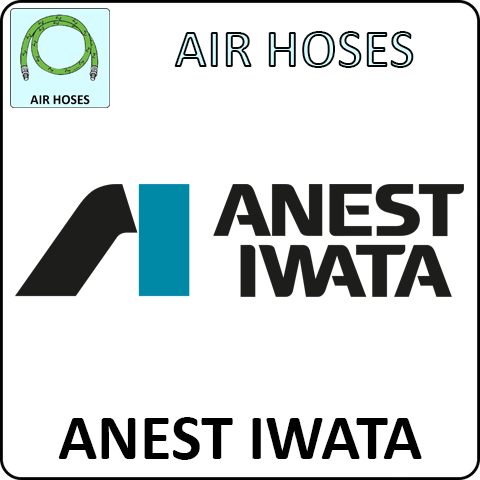 Anest Iwata Air Hoses